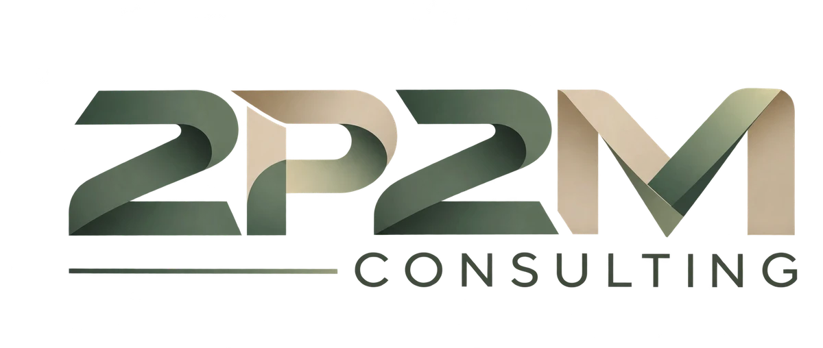2P2M Consulting